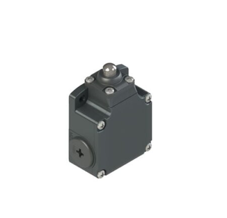 FL 601, FINAL DE CARRERA PEQUEÑO EMBOLO DE ACERO, 1NA+1NC, ACCION LENTA, CONEX. PG13.5, IP67