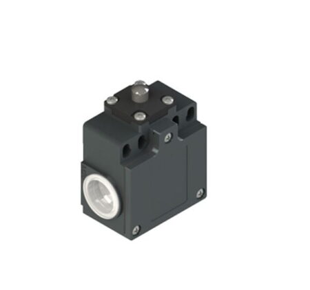 FZ 501, FINAL DE CARRERA EMBOLO TIPO PIN, 1NA+1NC, ACCION RAPIDA, CONEX. PG13.5, IP67